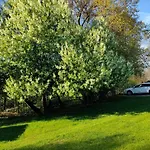 別荘 Wczasy Mazurskie - Caloroczny Bez Mazury