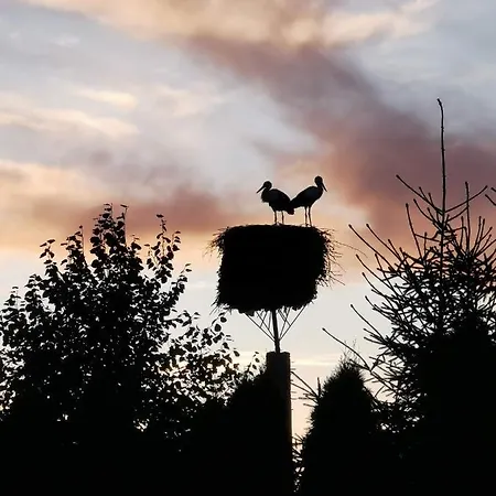 Prázdninový dům Wczasy Mazurskie - Caloroczny Bez Mazury