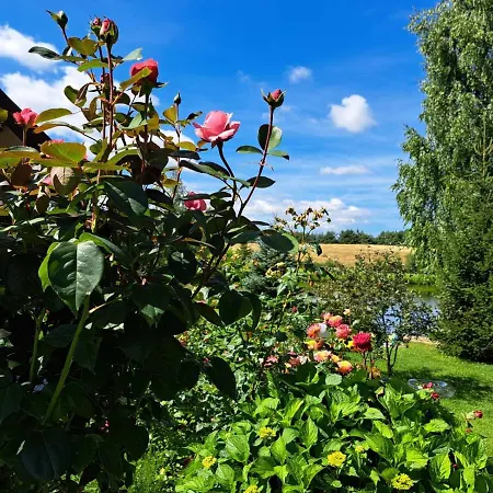 Wczasy Mazurskie - Caloroczny Bez Mazury